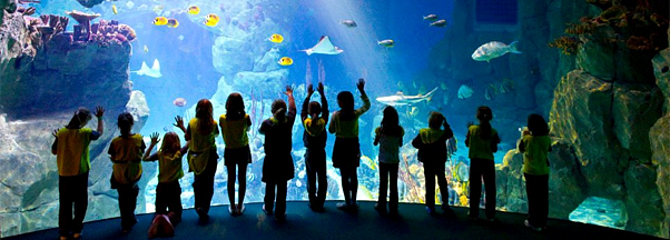 National Marine Aquarium